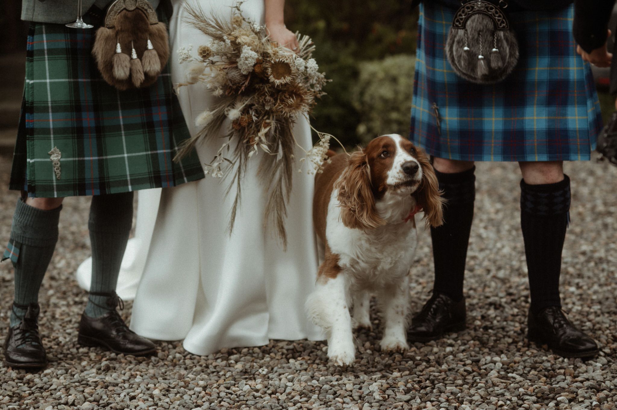 spaniel dog standing between two men in kilts and bride at a Scottish wedding