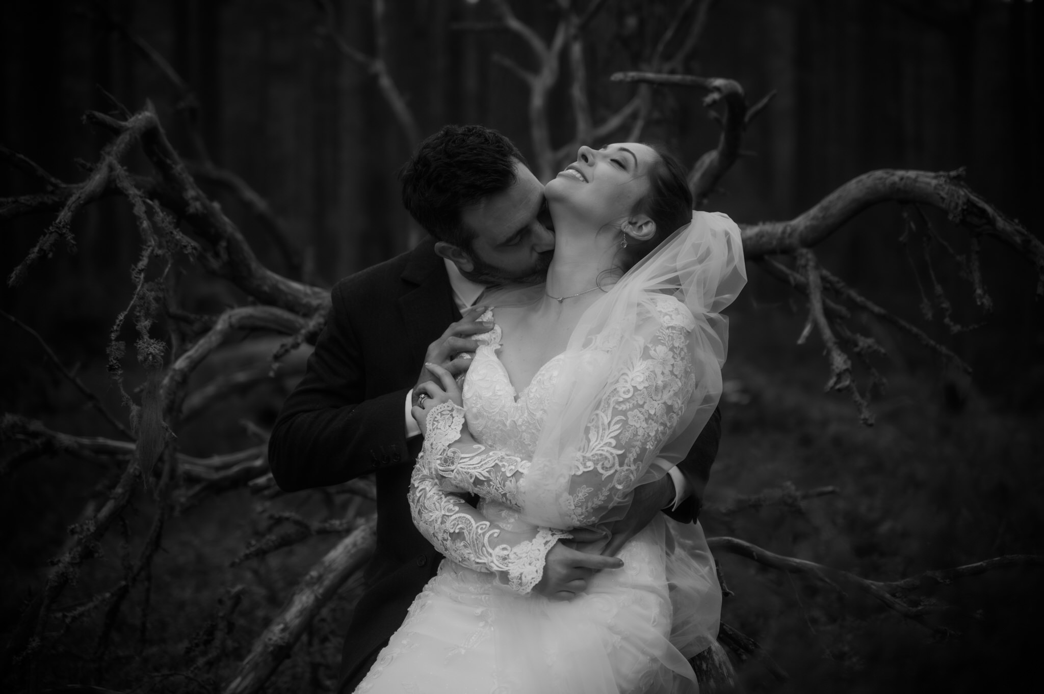 Scottish elopement couple kissing and laughing whilst sitting on a tree in the woodlands of the cairngorms in Scotland