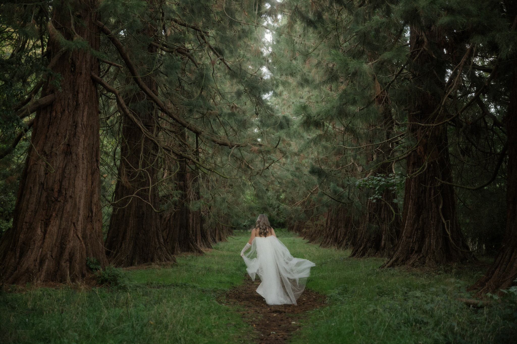 scotland-wedding-photographer-sean-bell0049 bride wandering in a wild scottish woodland with her dress flowing during her wedding in Scotland